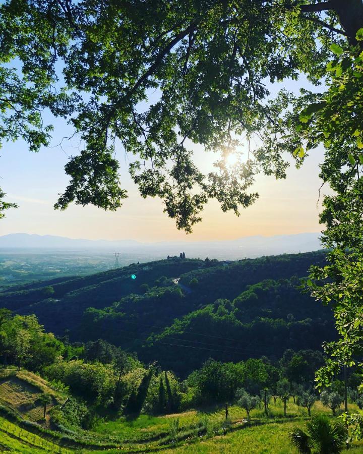 Villa Del Parco In Tuscany Сан-Баронто Экстерьер фото